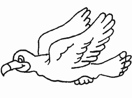 Seagull coloring pages | Coloring-