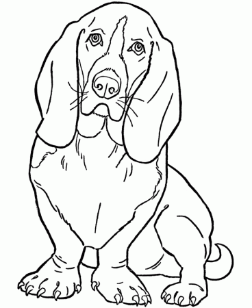 Coloring Pages | 820 Pins