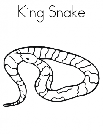 Snake-Coloring-Page-1024×792 | COLORING WS