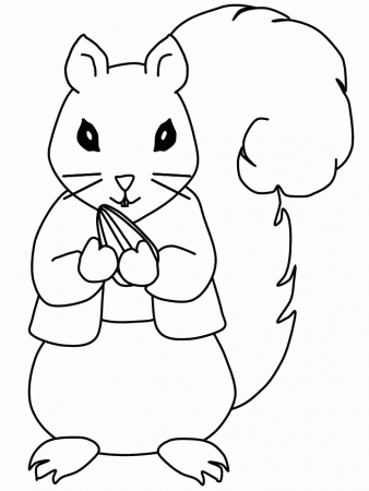 Squirrel9 Animals Coloring Pages & Coloring Book