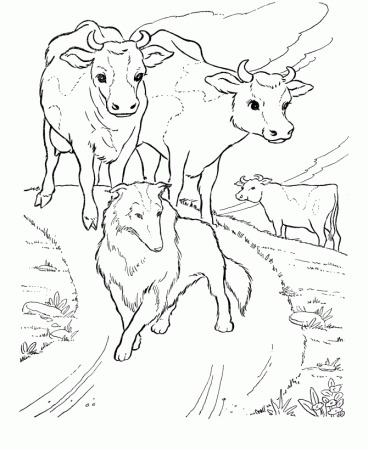 farm animal coloring pages baby chicks page and kids