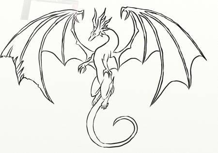 Flying Dragon Sketches Images & Pictures - Becuo