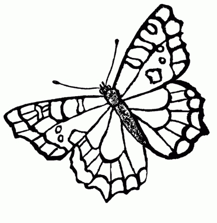 Butterfly Coloring Pages (15) - Coloring Kids