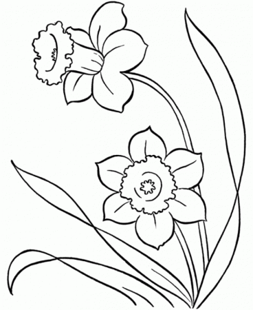 Spring Coloring Pages Butterflies And Flowers - Animal Coloring 