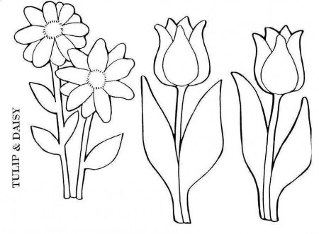Gardener and Flower Coloring Pages - Flower Coloring Pages of The 