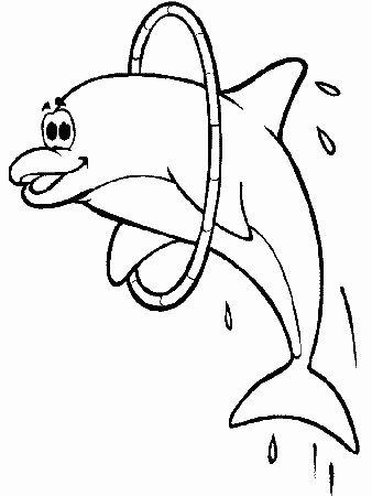 Dolphins K9 Animals Coloring Pages & Coloring Book