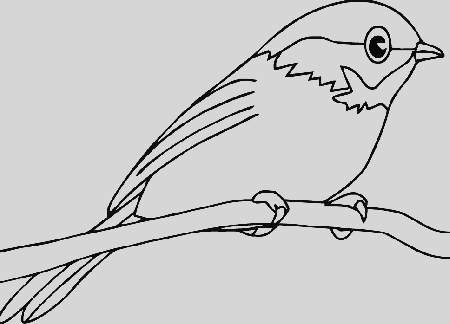 Animal Coloring Free Printable Angry Bird Coloring Pages For Kids 