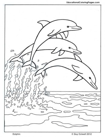 free coloring pages to print | Animal Coloring Pages for Kids