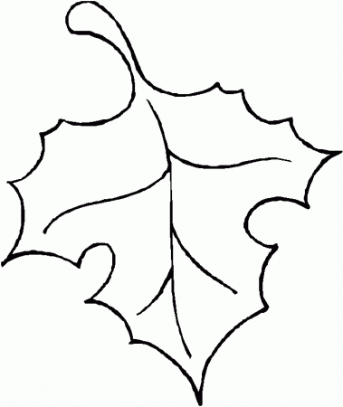 leaf outline | Coloring Picture HD For Kids | Fransus.com666×791 