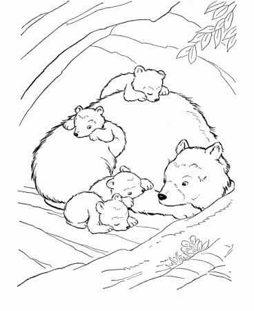 Wild Animal Coloring Pages | Inside the Bear Den Coloring Page and 