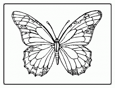 Butterfly Printable Coloring Pages - Free Coloring Pages For 