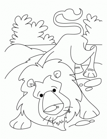 Relaxed Indian lion coloring pages | Download Free Relaxed Indian 