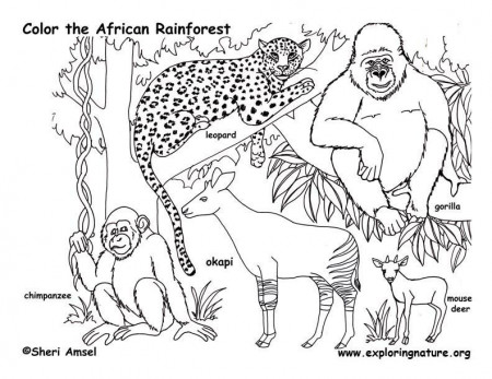 coloring pages of africa for kindergartens : Printable Coloring 