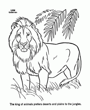 Wild Animal Coloring Pages | Male Lion Coloring Page and Kids 