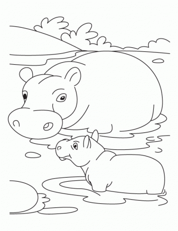 Baby hippo with mother hippo coloring pages | Download Free Baby 