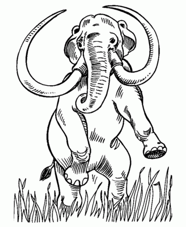 Dinosaur Coloring Pages | Printable Mastodon coloring page and 
