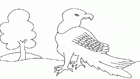 Vulture printable coloring page for kids: Vulture printable 