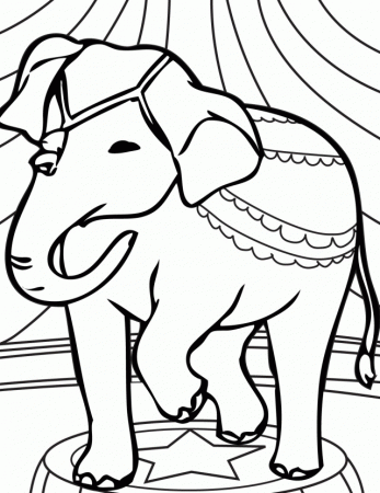 Elephant Coloring Pages Coloring Book Area Best Source For 243661 