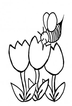 Coloring Pages For Preschoolers Pdf - Coloring