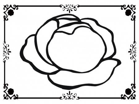 Free Cabbage Patch Coloring Pages | Realistic Coloring Pages
