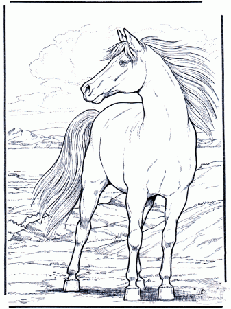 Horse coloring - Free Animal coloring pages sheets Horse