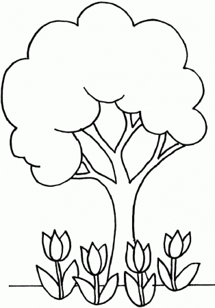 Simple Way to Color Tree Coloring Page - Toyolaenergy.com