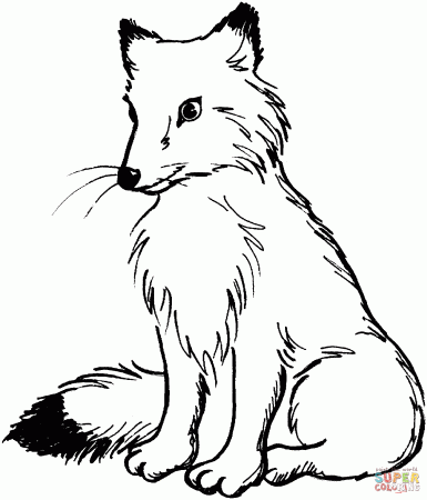 Red Fox coloring pages | Free Coloring Pages