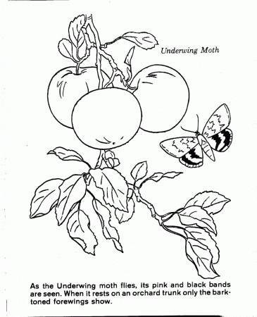 Nature Scenes Coloring Pages Coloring Page For Kids | Kids Coloring