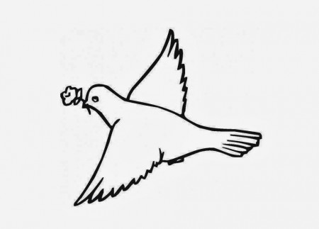 Pigeon Coloring Drawing Free wallpaper | Anggela Coloring Book For ...