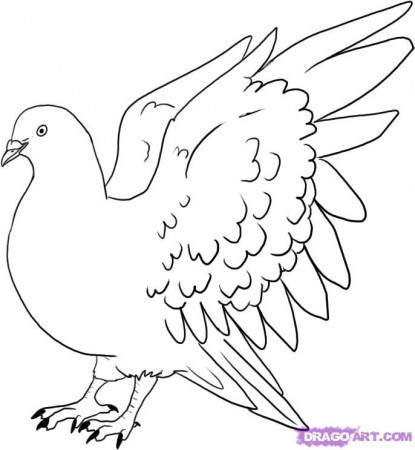 pidgin bird line drawing - Google Search | Birds to embroider ...