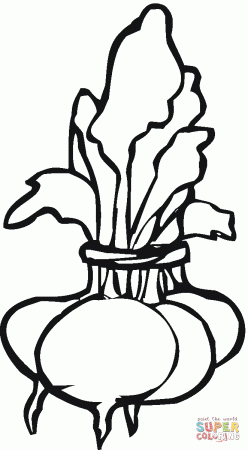 Beetroot 1 coloring page | Free Printable Coloring Pages