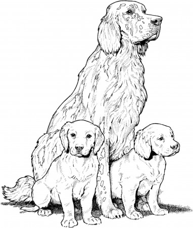 Pin by Ohio Voters for Companion Anim on Animal Coloring Pages for Kids |  Dog coloring page, Puppy coloring pages, Horse coloring pages