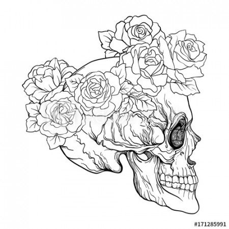 Sugar skull with decorative pattern and a wreath of red roses. Stock line  vector illustration. Outline hand drawing coloring page for adult coloring  book. - Buy this stock vector and explore similar