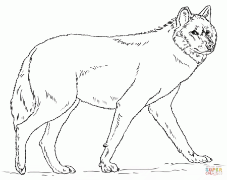 Wolf coloring pages | Free Coloring Pages