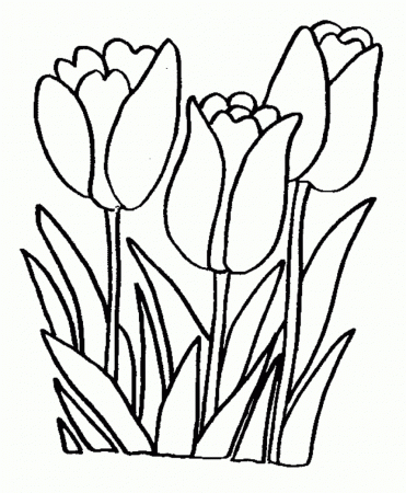 Free Coloring Pages Of Plant With Flowers Coloring Pages Flowers ...