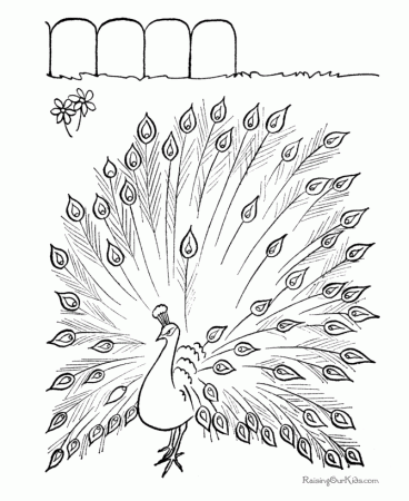 Free printable peacock coloring page... lots of other great ...
