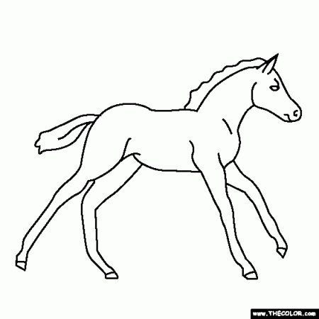 Baby Horse Coloring Page | Pony coloring