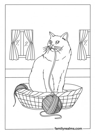 Free Printable Cat Coloring Pages (12 PDFs Download)