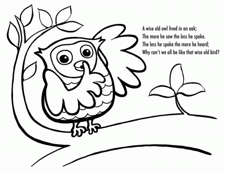 Printable Owl Coloring Pages Kids - Colorine.net | #14281