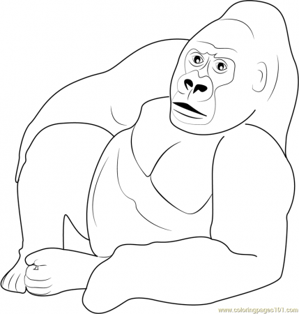Gorilla Relaxing Coloring Page for Kids - Free Gorilla Printable Coloring  Pages Online for Kids - ColoringPages101.com | Coloring Pages for Kids