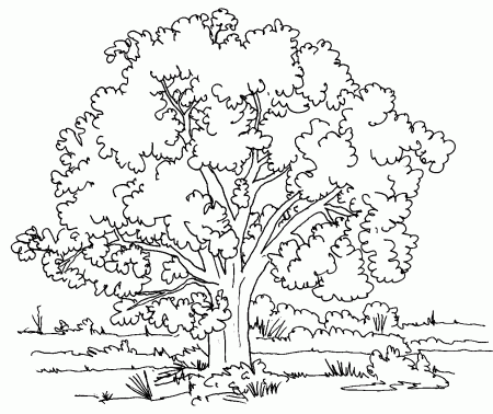 Apple Tree - Coloring Pages for Kids and for Adults