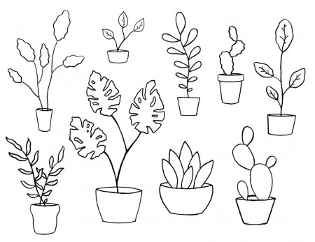 Coloring Pages — Calvert Illustrations