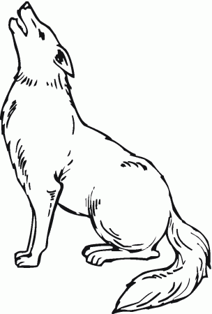 Free Printable Coyote Coloring Pages For Kids | Coyote drawing, Coloring  pages for kids, Coloring pages
