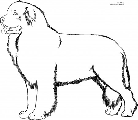 Easy Dog Coloring Pages For Girls Coloring Pages Dog Coloring Page ...