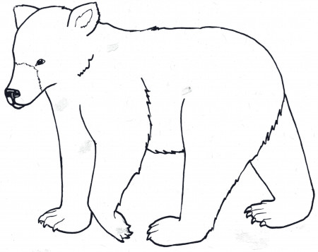 black bear coloring pages - get domain pictures - getdomainvids ...