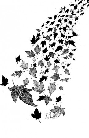 Sycamore Leaf Template Coloring Page