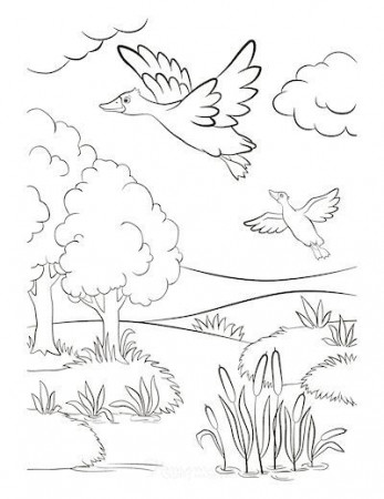 Printable Autumn & Fall Coloring Pages ...