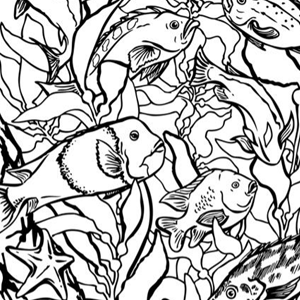 Camo - Coloring Pages for Kids and for Adults