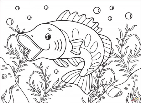 Largemouthbass coloring page | Free Printable Coloring Pages