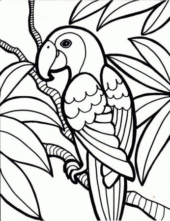 medium coloring pages animals | Jungle coloring pages, Bird ...